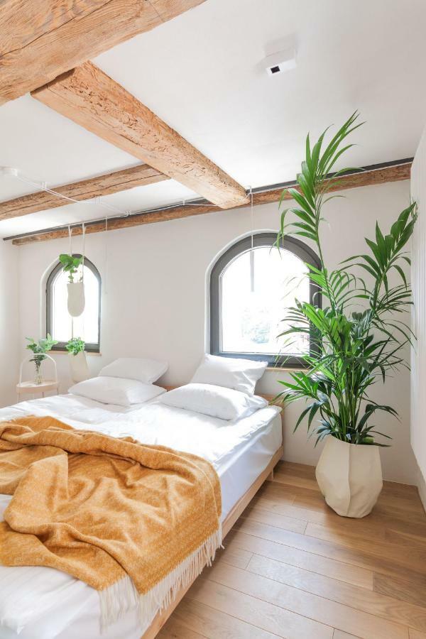 Stary Toruń Apartamenty Monka מראה חיצוני תמונה