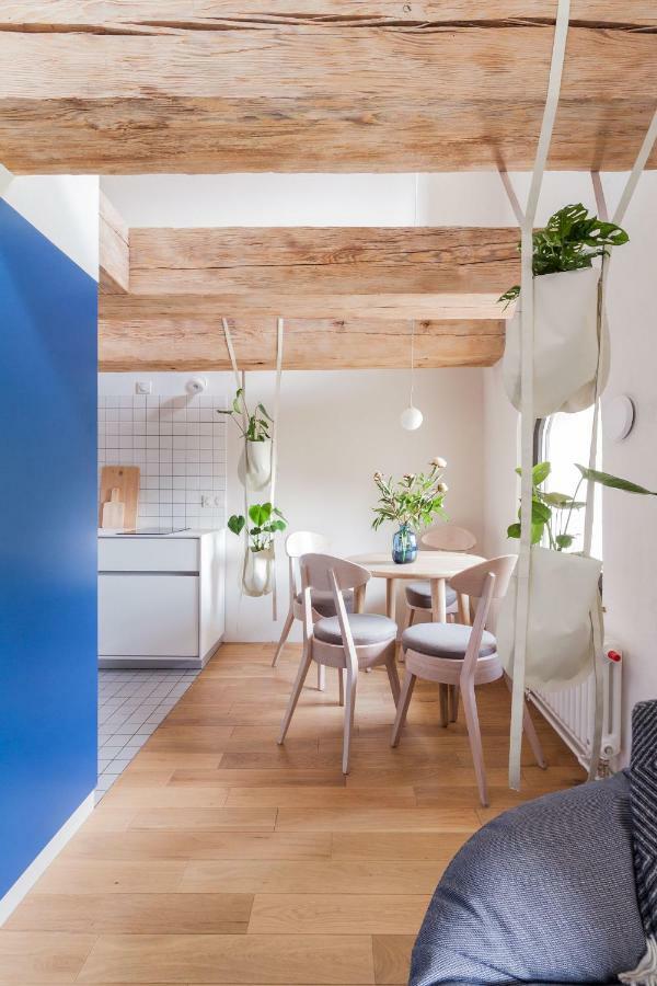 Stary Toruń Apartamenty Monka מראה חיצוני תמונה