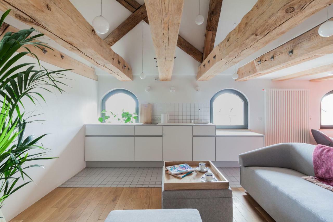 Stary Toruń Apartamenty Monka מראה חיצוני תמונה